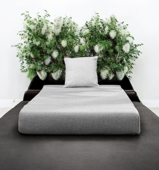 Solis Primus Comfort for All Sofa Cum Bed Up to 69% Off + Rs.500 Off on Orders above Rs.2999