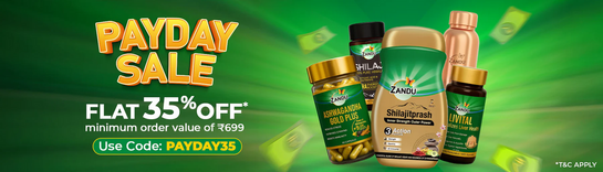 Zanducare - PAYDAY Sale Flat 35% off on orders 699 