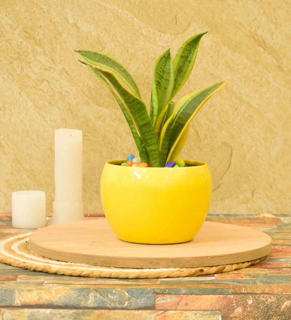 pepperfry: What The Fry Deals Upto 81% off Motion sensor lights, Desk pot, sipper bottle & more 