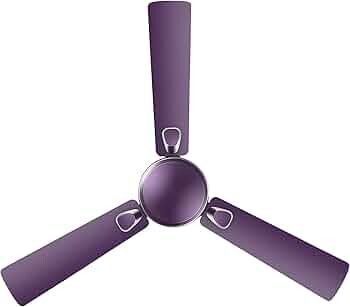 RR Signature 1200MM Triana BLDC 5 Star 32 Watt Ceiling Fan (Lavender)