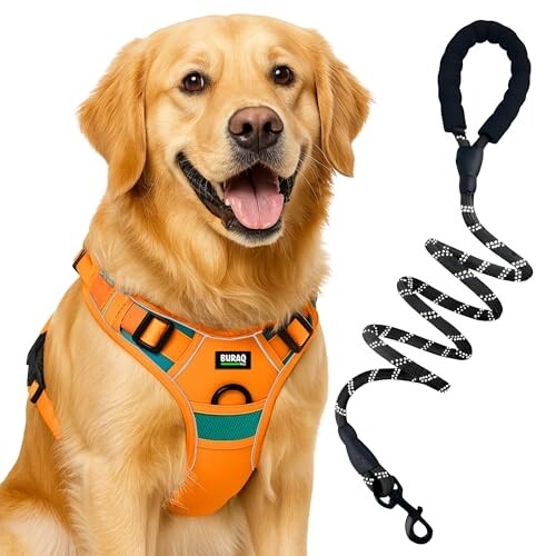 Buraq Reflective Dog Harness with Leash, No-Pull Adjustable Belt Vest 