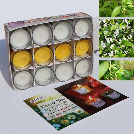 Pure Source India Pack of 12 Votive Scented Candles