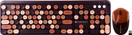 ZEBRONICS Zeb-companion 301 Wireless Standard Desktop Keyboard