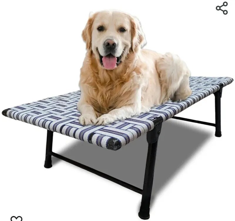 44L Elevated Pet Bed for Dogs