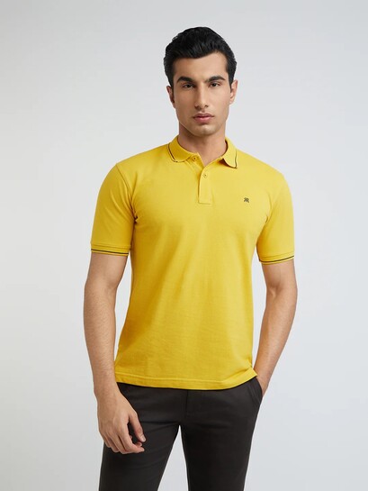 80% Off Raymond Pure Cotton Polo Tshirt