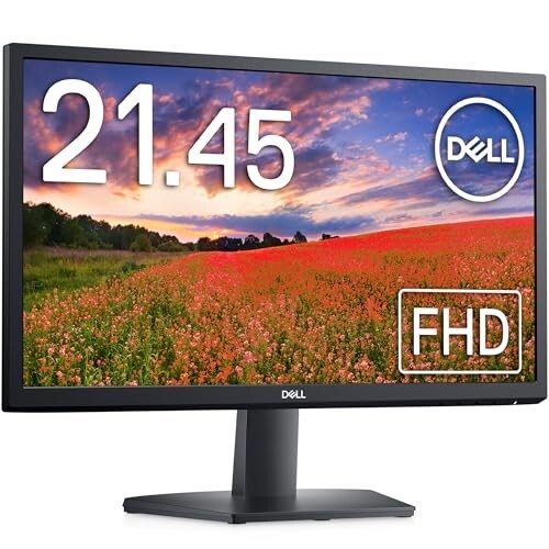 Dell SE2225H 22" (55.88 cm) FHD Monitor 1920x1080 Pixels, Refresh Rate 60Hz, VA Panel