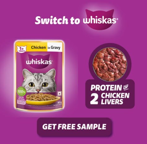 Free Whiskas Cat Food Sample – Claim Now