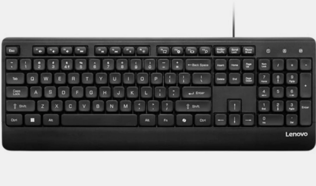 Lenovo 110 USB-A Wired Keyboard Wired USB Standard Desktop Keyboard Compatible with Desktop (Black)
