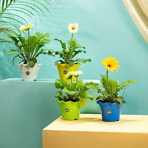 TrustBasket Blossom Pot 6-inch Table Top Planter Pot (Pack of 4) 
