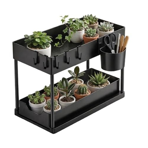 Lifelong 2 Tier Plant Stand Indoor with Storage Tray and Hooks, Black Metal Plant Shelf for Small Potted Plants, Tabletop Organizer Rack for Home Kitchen Office, Space Saving Planter Stand