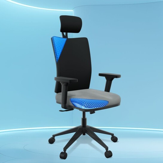 The Sleep Company Onyx SmartGRID Orthopedic Office Chair | Ergonomic High-Back Desk Chair for Home & Office