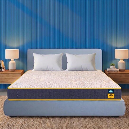 Centuary Mattresses Sleepables | 5-Inch Queen Size  (75x60x5)