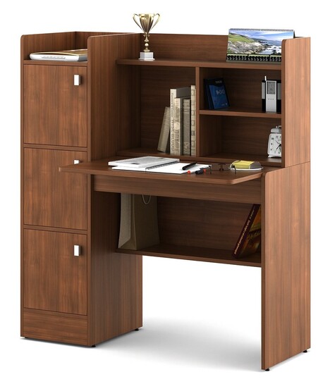 Spacewood Study Table | 3 Year Warranty | Winner