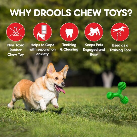 Pair of Drools Non-Toxic Rubber Toy for Dogs, Trio Bolt Rings 115g | Non Destructive Chewing Toy 