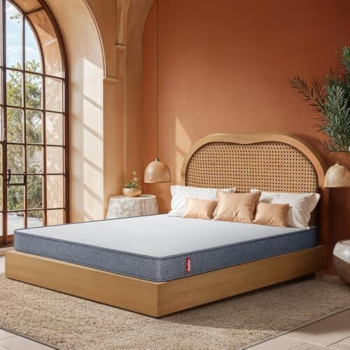 Duroflex LiveIn 2 in 1 Dual Reversible Soft & Firm Sides | 10 Years Warranty (75x36x5)