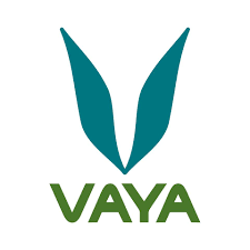 Vaya Coupons, Promo Code & Offers