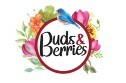 Buds and Berries 