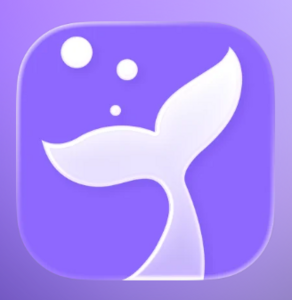 JoyRead-Fantasy Novel