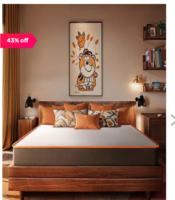 Sleepyhead Original White Memory Foam 3 Layered BodyIQ Orthopedic Mattress