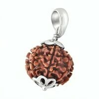 Natural 4 Mukhi Rudraksha