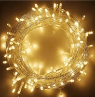 DesiDiya Pixel LED String Light (12m, Warm White)