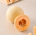 Mad Maxx sale 50% off and 10 rupees corner 