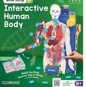 Smartivity Interactive Human Body Model for Kids