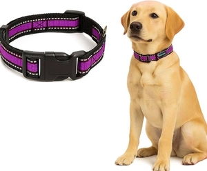 Reflective Adjustable Pet Collar for Dogs and Cats (Purple, Xtra Large)