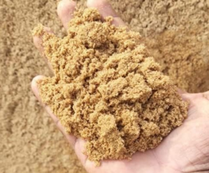 Bazaar : Natural River Sand for Gardening & Succulents