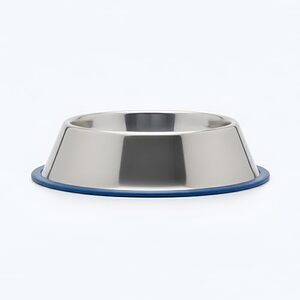 Ezra Comfort Stainless Steel Dog Bowl | Anti-Skid Pet Feeding Bowl for Food & Water | Durable & Easy to Clean Bowl for Dogs & Puppies, 950 ml