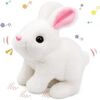 Kidology Electronic Bunny Toy for Kids 
