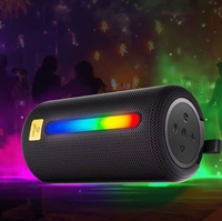 Ptron Fusion Buzz 14W Bluetooth Speaker w/ 8hrs Playback, Rhythmic RGB Lights (Black)