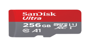 Swiggy : Sandisk 256 Gb memory card  (Location Specific)
