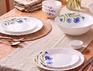La Opala Novo Opalware Dinner Set, 10 Pcs for Family of 2, Floral Fountain
Microwave & Dishwasher Safe, Bone-Ash Free, Plates & Bowls for Dining & Gifting, Break-Resistant, Lightweight, Made in India